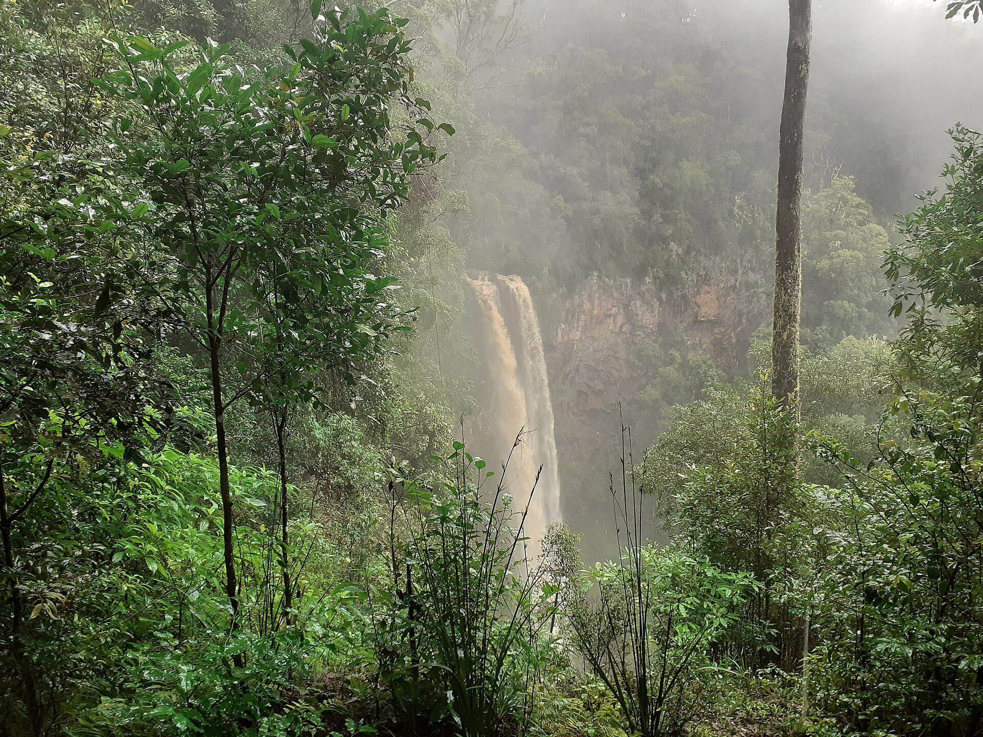 Rainforest waterfall seen through dark glass